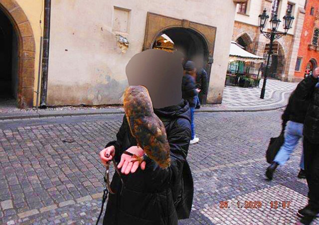 Прага запускает информкампанию против фотографирования с животными