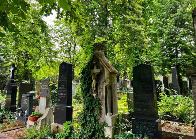 Жителям Праги посоветовали спасаться от жары на кладбищах