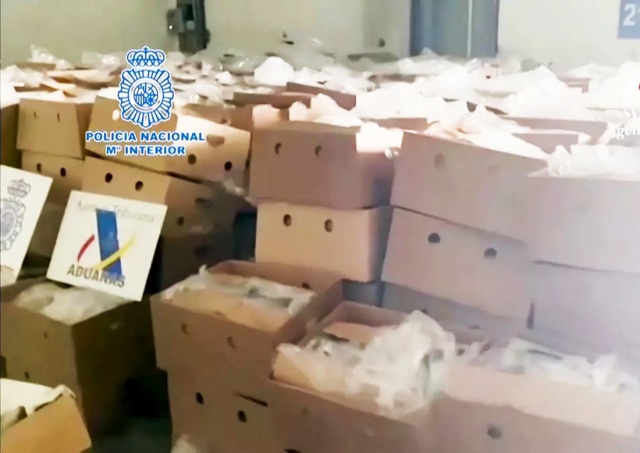 В Испании полиция нашла в коробках с бананами 9,5 тонн кокаина