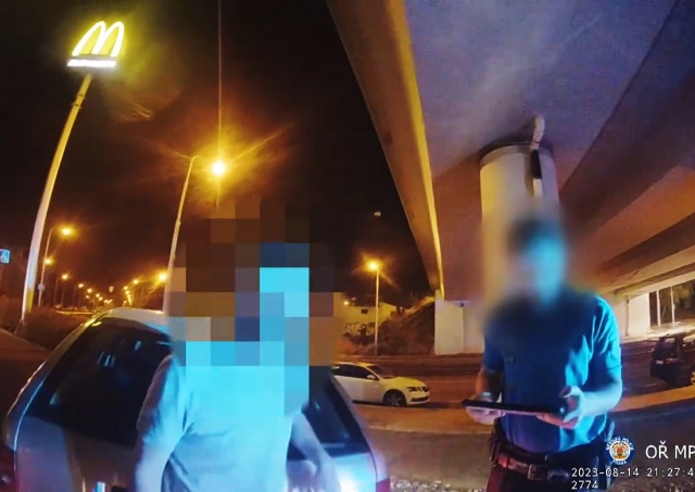 В Праге в стельку пьяный водитель повредил полицейскую машину: видео
