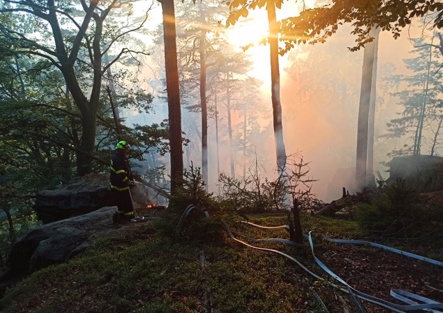 В «Чешской Швейцарии» горит лес