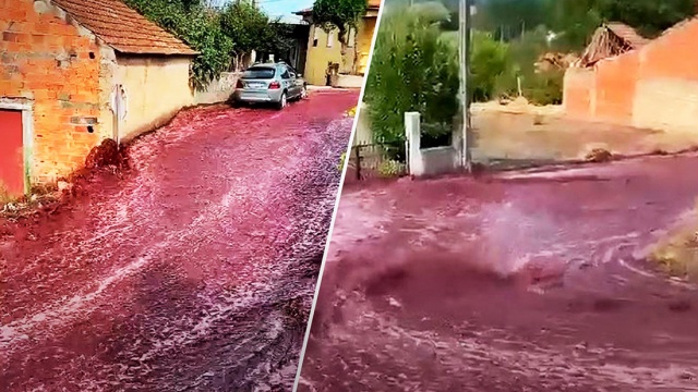 Улицы португальского городка затопило вином: видео