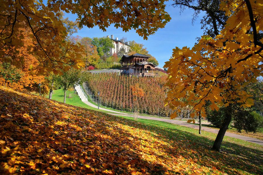 Надышаться красотой: лучшие парки Праги для осенних прогулок