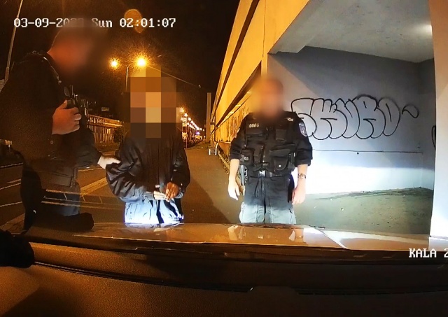 В Праге задержали 12-летнего вандала: видео