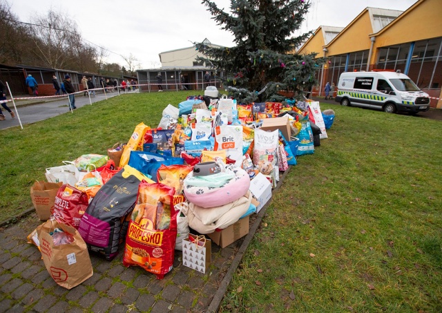 Пражане подарили бездомным собакам на Рождество три тонны корма