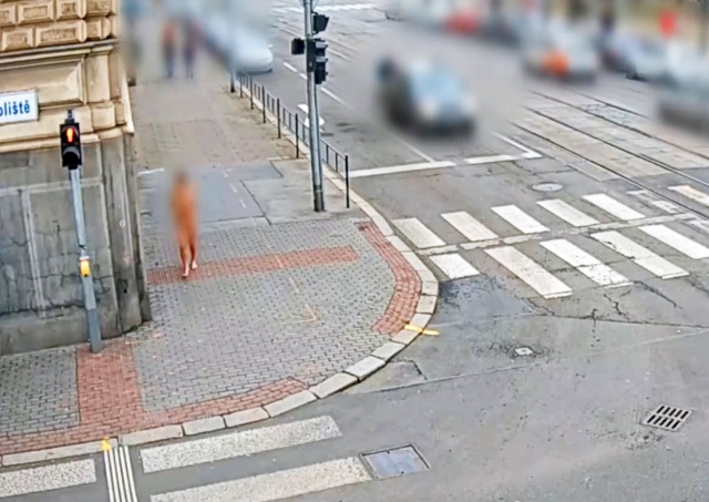 В Чехии полиция помогла девушке, бегавшей по улице полностью голой