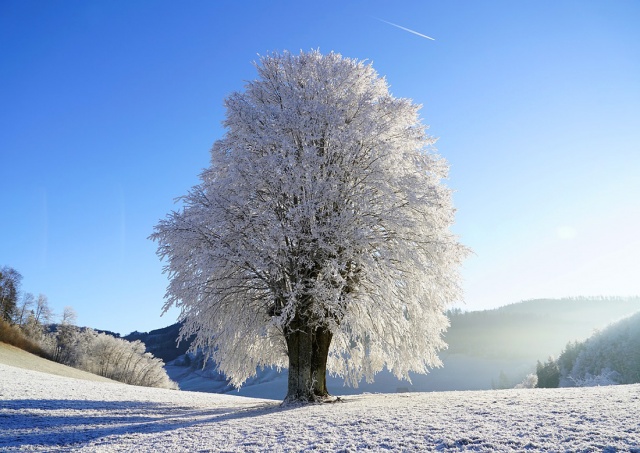 Синоптики: в Чехию идут морозы до -20°C