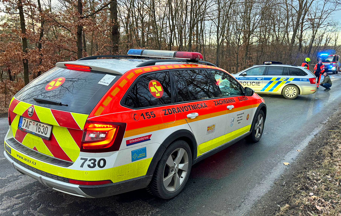 Под Прагой на проезжавшую машину упало дерево