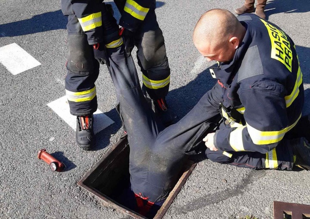 В Праге пожарные спасли 11 утят