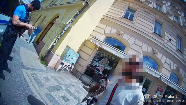 В центре Праги мужчина эксплуатировал сокола. Полиция изъяла птицу: видео