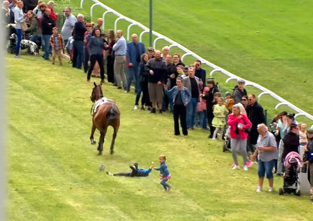 На ипподроме в Чехии скаковая лошадь ранила зрителей: видео