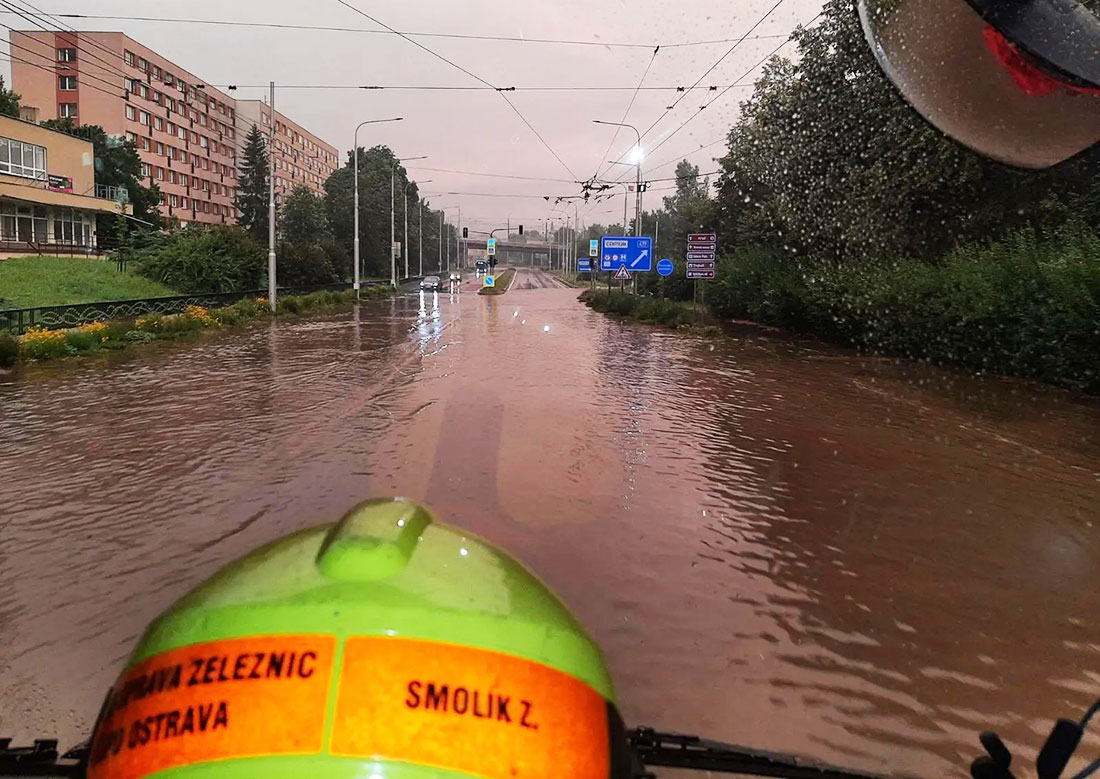 Упавшее из-за сильной грозы дерево убило женщину в Чехии