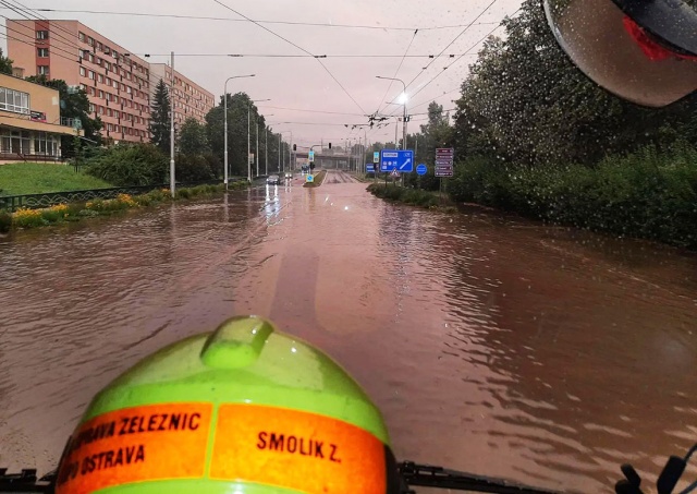 Упавшее из-за сильной грозы дерево убило женщину в Чехии
