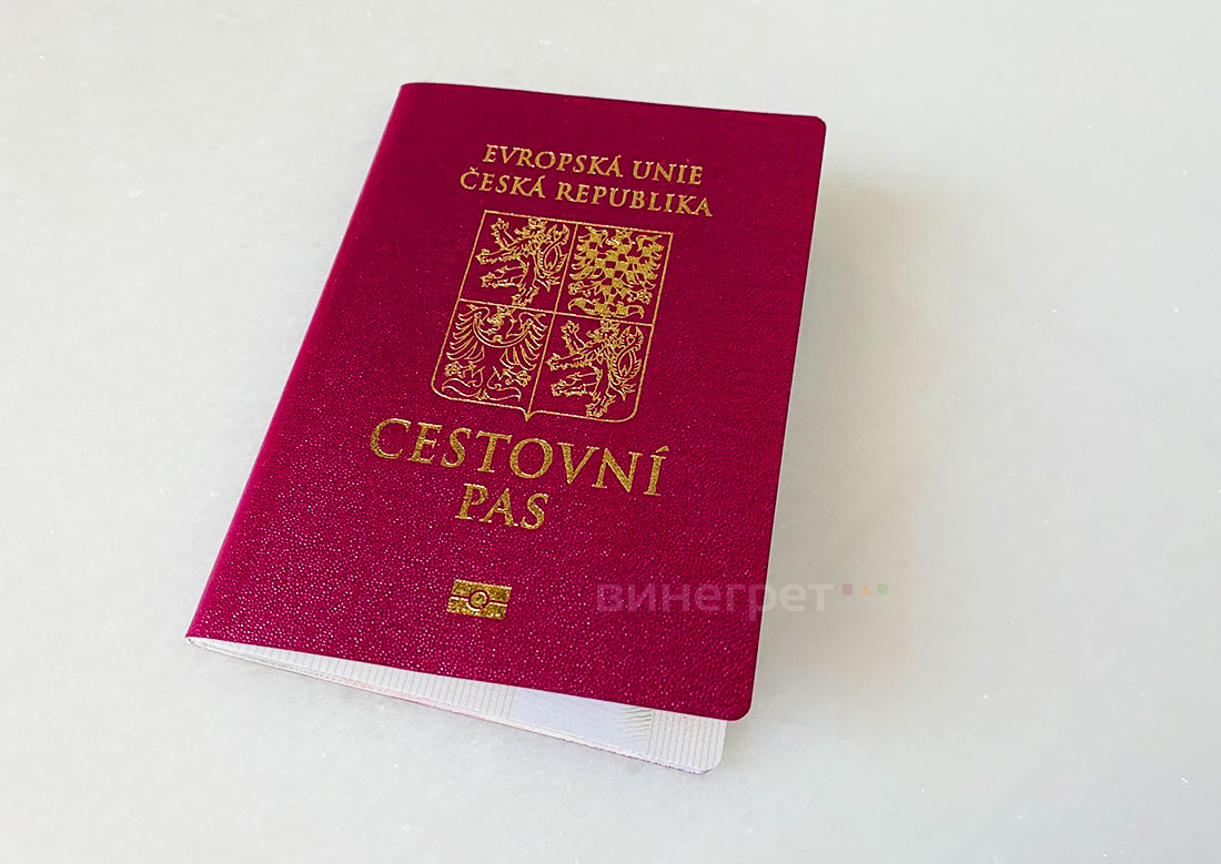Статистика: сколько украинцев, россиян и других иностранцев получили гражданство Чехии в 2023 году