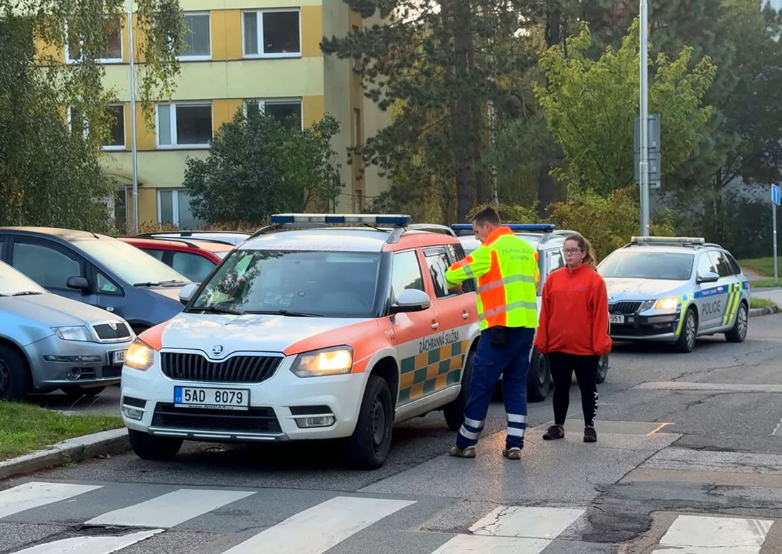 В Праге ротвейлеры покусали прохожую и загрызли двух собак