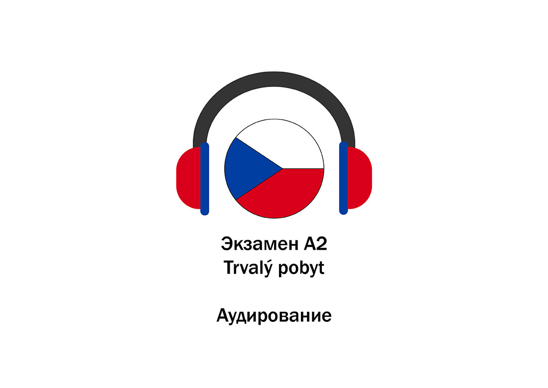 Готовимся к языковому экзамену на ПМЖ: часть «аудирование»