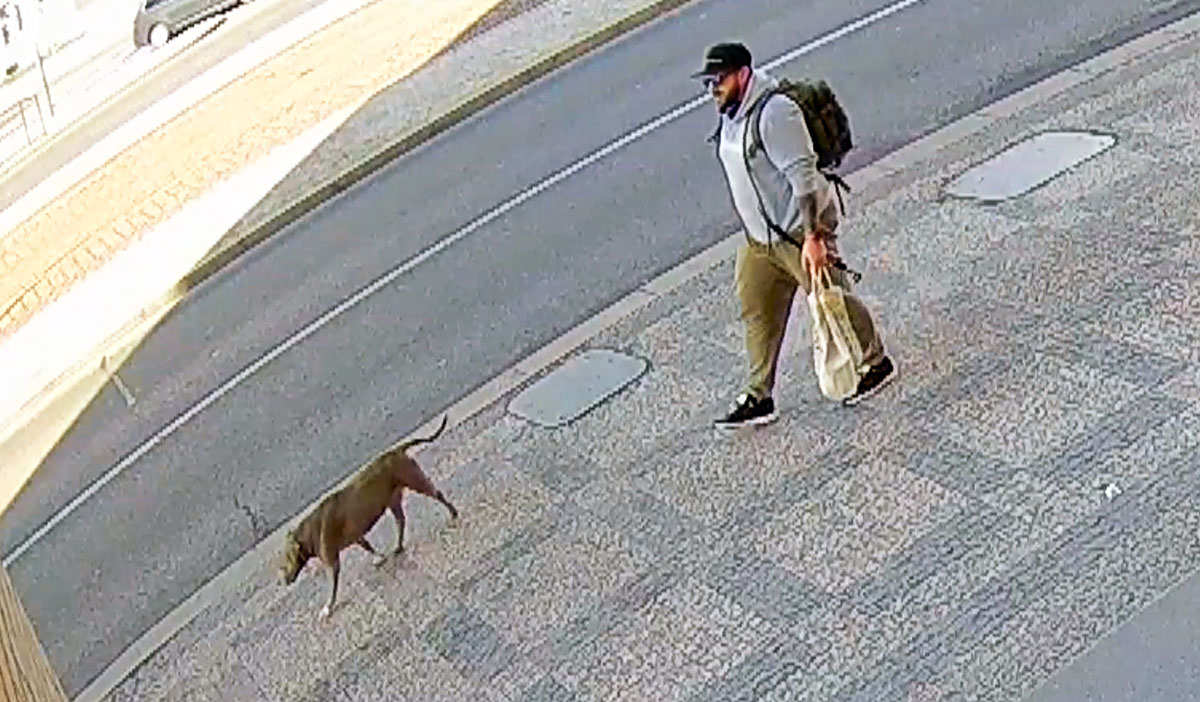 В Праге неизвестный выбил зубы случайному прохожему: видео