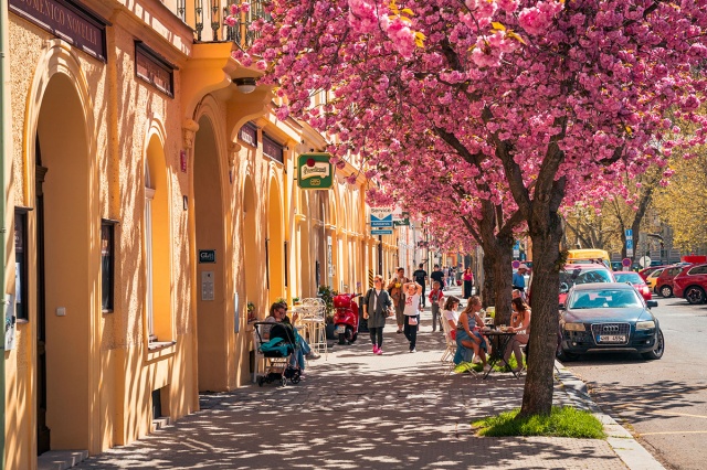 Прогулка по цветущей Праге: много красивых фотографий