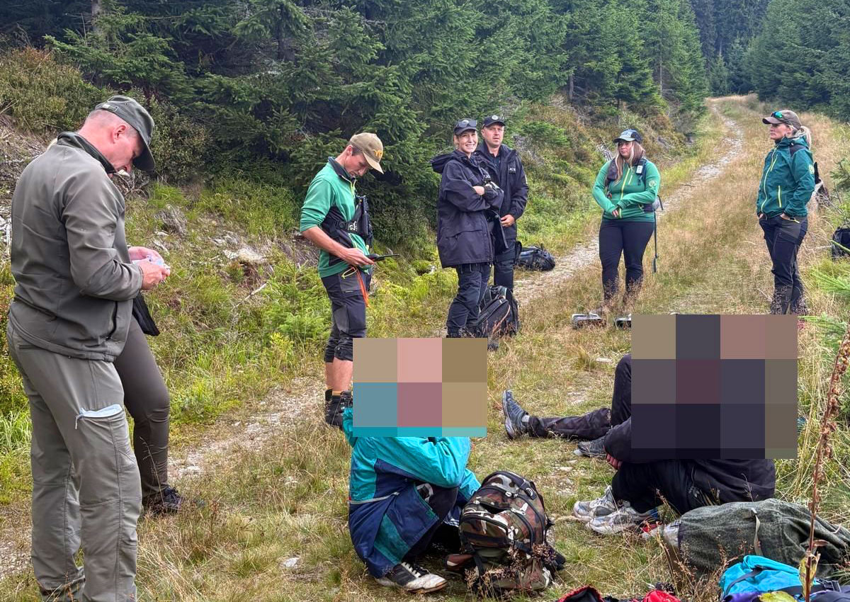 Организованные группы поляков лишают черники животных в чешском заповеднике