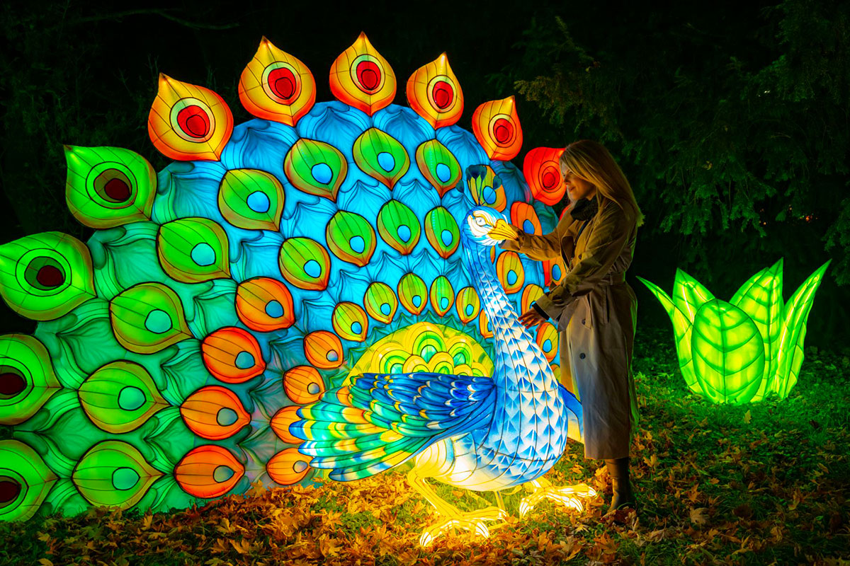 В зоопарке Праги открылась выставка световых инсталляций Garden of Lights