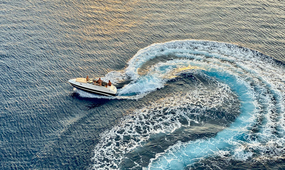 Как получить международную шкиперскую лицензию на управление катерами и яхтами