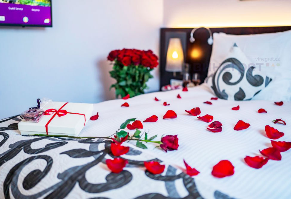 «Зачали ребенка в нашем отеле? Мы вам заплатим»: в Чехии объявили необычную премию