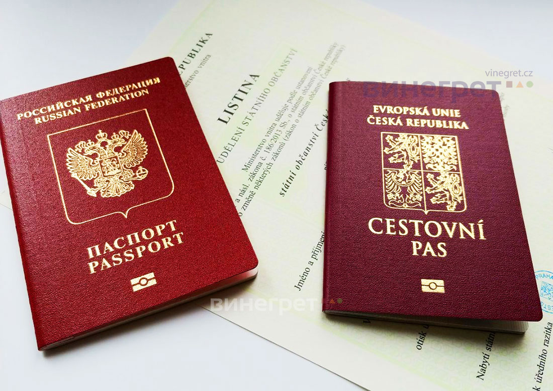 РФ хочет заставить живущих за рубежом россиян уведомлять о получении гражданства и ВНЖ