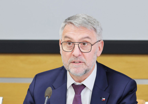 Глава МВД Чехии: временную защиту продлят, но с ограничением