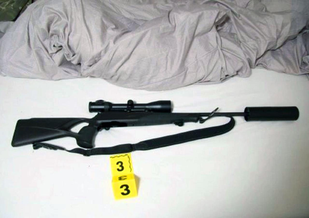 В Чехии вынесли приговор иностранцу, застрелившему оленя прямо из машины