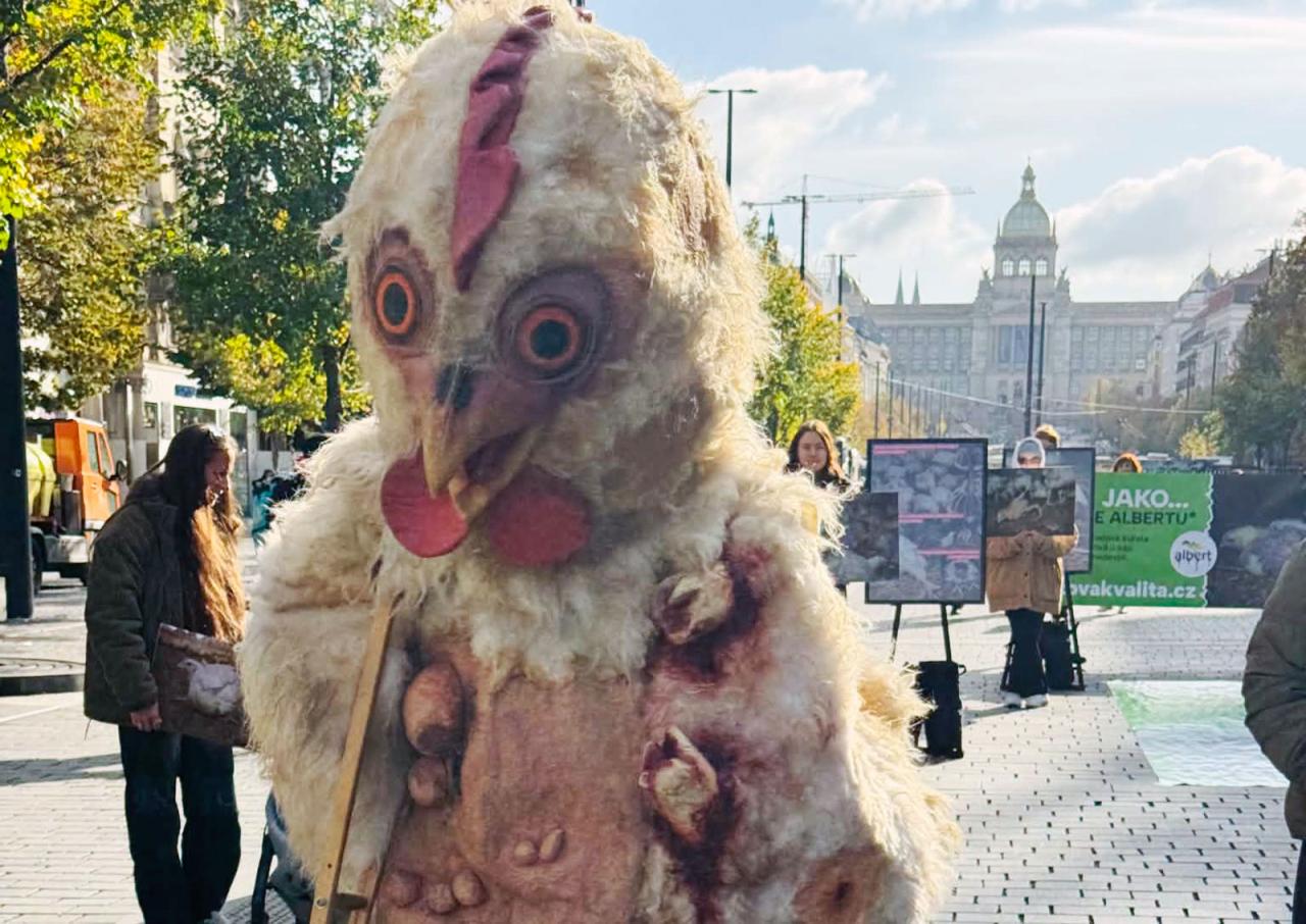 В центре Праги протестовали против торговой сети Albert