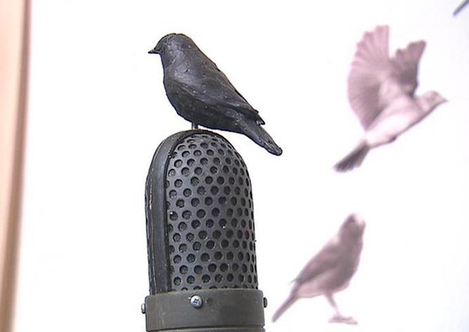 В Праге открыли памятник Миладе Гораковой