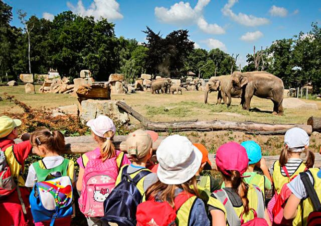 В среду вход для детей в зоопарк и аквапарк Праги будет бесплатным